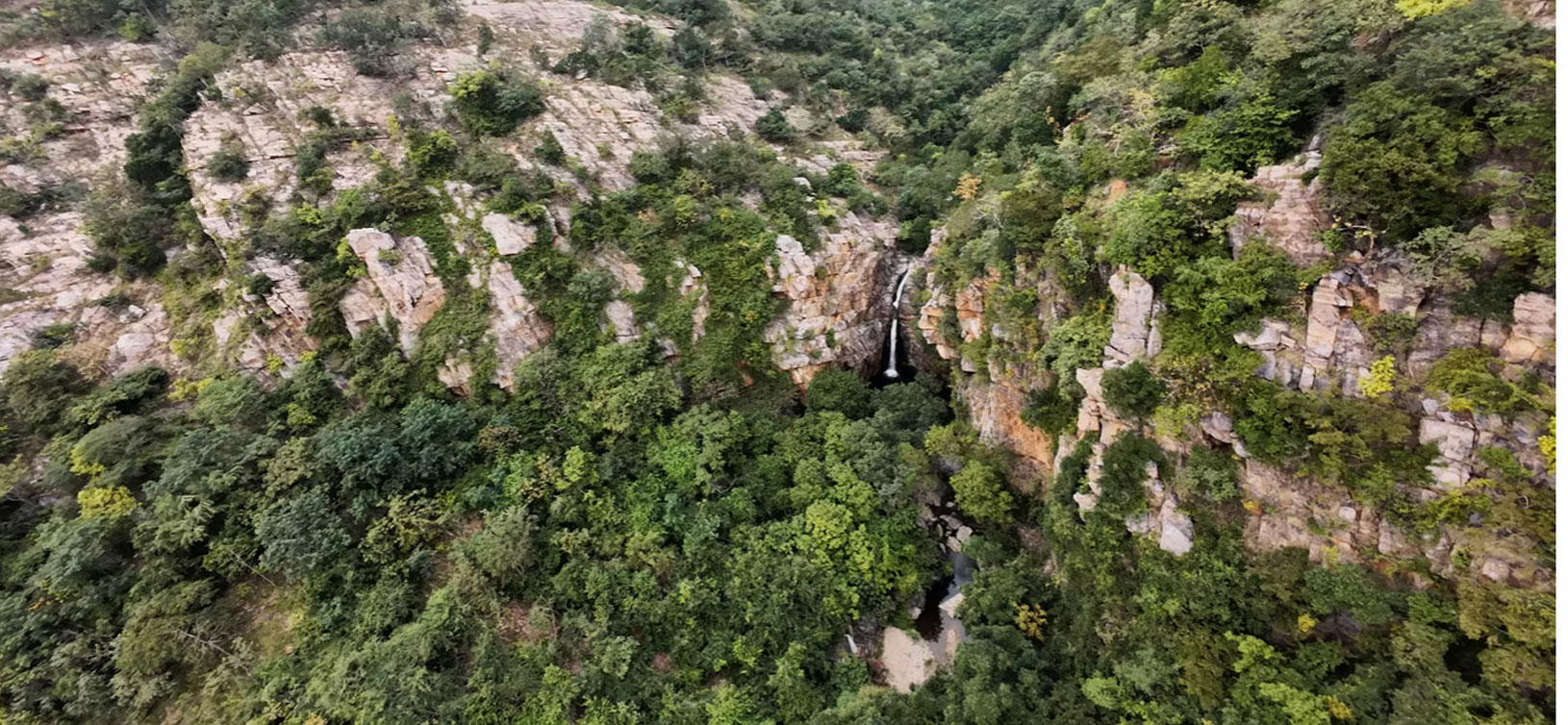 Aroghyaan  Camp and Classes