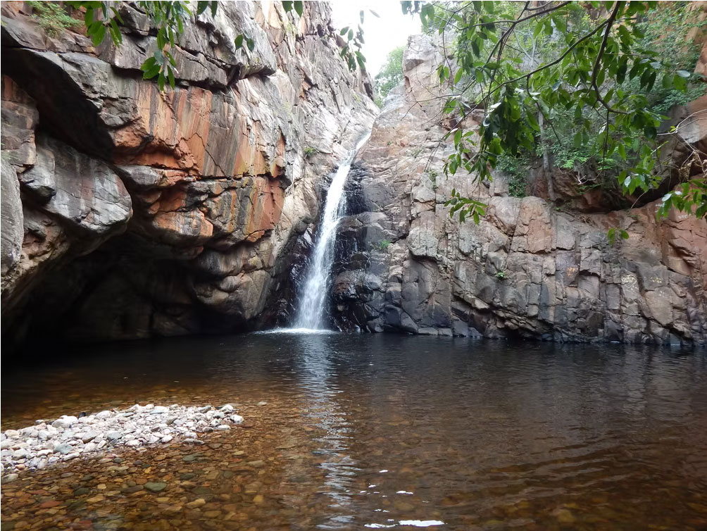 Aroghyaan  Camp and Classes